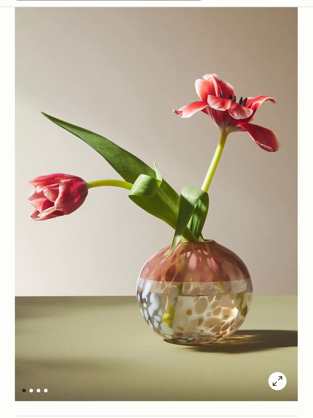 Anthropologie Bela Art Glass Round Vase MiniGlass Accent Vase in Coral and White